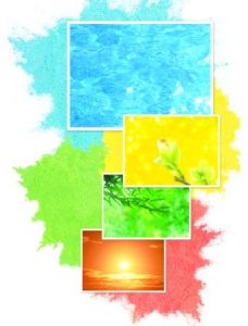 “性格色彩學”——紅、藍、黃、綠