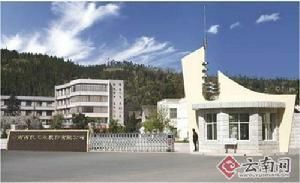 西儀股份 西儀股份