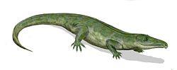 古鱷生存於早三疊紀的南非