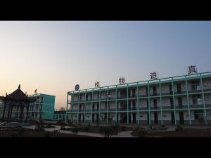 蒼山縣車輞鎮中心國小 蒼山縣車輞鎮中心國小