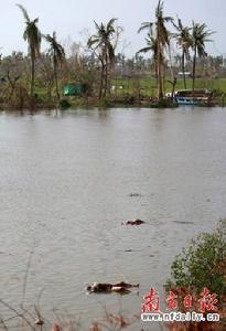 伊洛瓦底省的農村