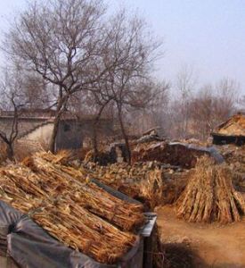 古營崖村 古營崖村