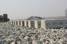 白洋淀站周圍已經撒上石子，安放了枕木