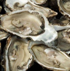牡蠣