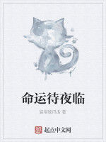 命運待夜臨 命運待夜臨