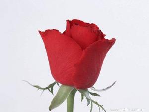 涉縣第二中學 涉縣第二中學