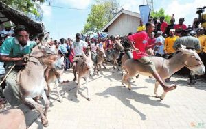 穆賽利邁 穆賽利邁