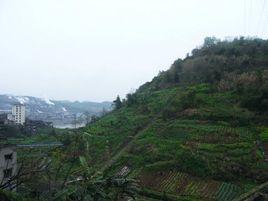 李渡鎮[原重慶市涪陵區李渡鎮]