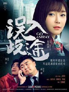 誤入歧途[2016年由青年導演冷幽延執導的數字大電影]