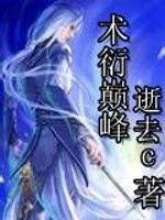 術衍巔峰 術衍巔峰