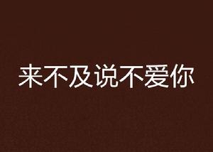 來不及說不愛你 來不及說不愛你