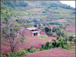 亦既郎村 亦既郎村