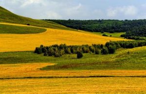 松漠旅遊度假村 松漠旅遊度假村
