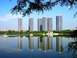 東釣魚台家園 東釣魚台家園