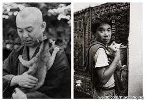 村上春樹·貓 村上春樹·貓