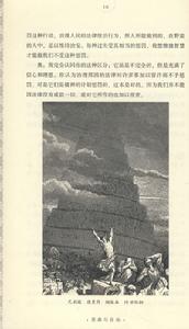 《恩典與自由》插圖