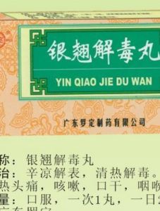 銀翹解毒丸 銀翹解毒丸