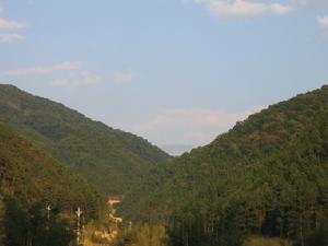 廣東東源康禾省級自然保護區 廣東東源康禾省級自然保護區