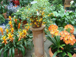 洛克&middot;克里克公園