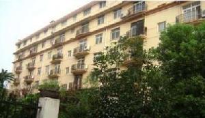 桂子花園 桂子花園