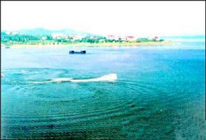 塞外蟠龍湖旅遊風景區