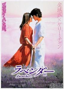 《薰衣草》 《薰衣草》