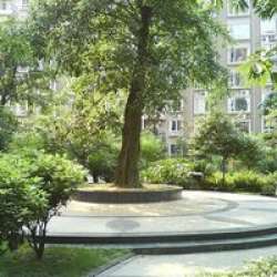 花樣年華2004 花樣年華2004