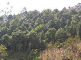 龍馬村[雲南省昆明市富民縣永定鎮下轄村]