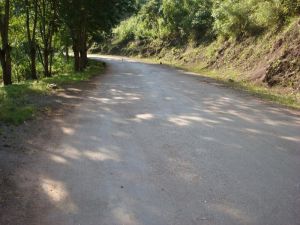 步新橋自然村 步新橋自然村