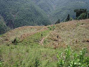 富谷村自然資源-耕地