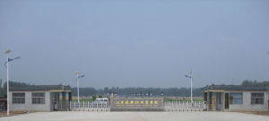 盛華牡丹 盛華牡丹