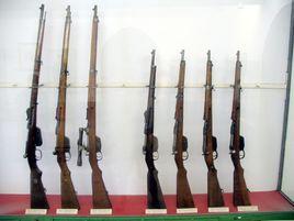 曼利夏直拉式槍機步槍 曼利夏直拉式槍機步槍