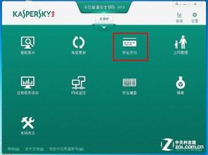 卡巴安全部隊2013安全支付功能