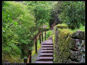 武夷山國家自然保護區