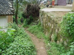 八丘田自然村 八丘田自然村