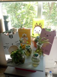 萌萌噠小內包裝