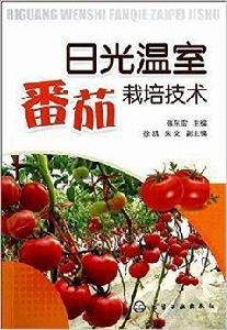 日光溫室番茄栽培技術 日光溫室番茄栽培技術