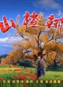 山楂樹[胡雪楊與秦曄執導的知青電影]