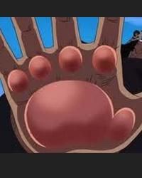 肉球果實 肉球果實