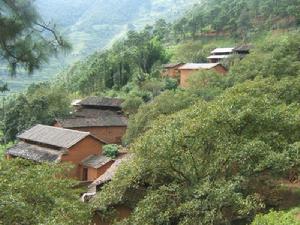 楊家自然村[雲南省普洱鎮沅縣振太鄉楊家自然村]