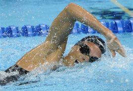 達拉·托雷斯 達拉·托雷斯