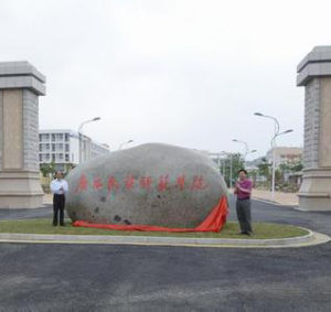 廣西民族師範學院 廣西民族師範學院