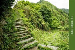鷂子尖古道 鷂子尖古道