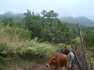白地門村 白地門村