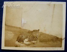 中山公園時期歷史照片