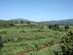 小河四村 小河四村