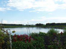 黑龍江省克山縣古城鎮