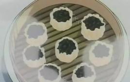 三蛋燒賣 三蛋燒賣