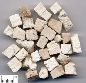 茯神提取物 茯神提取物