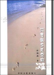 閃著很多貝殼的灘